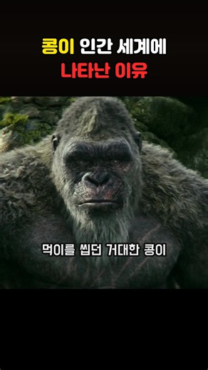 콩이 인간 세계에 나타난 이유 (고질라 X 콩: 뉴 엠파이어) #영화추천 #틱톡인생작콘테스트