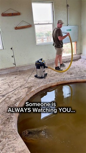 Someone is ALWAYS Watching You…