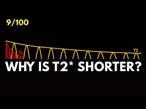 Why T2 is Always Greater Than or Equal to T2* | Radiology MRI Physics