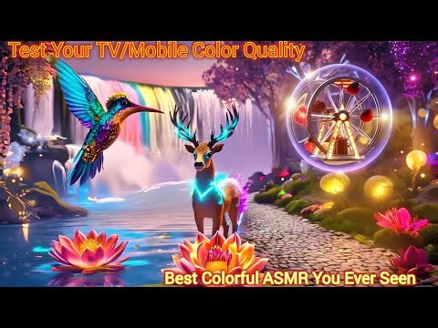 Test Your TV Color | 2K TV | 4K TV Mobile Display Color | Best Colors ASMR Environment | Color Check