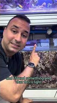 TRITON 2.0 GBR Show Tank Update: Refugium Light