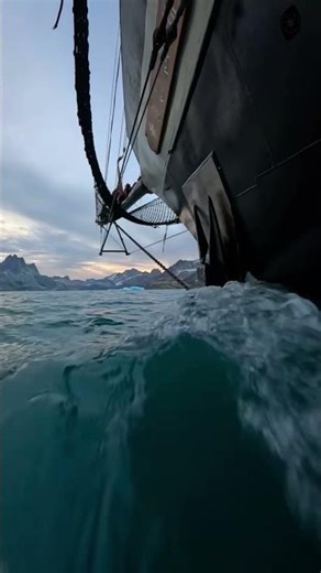 The Arctic Guardian: Witnessing the Untamed Majesty of Greenland’s Coast | Life in a Blink