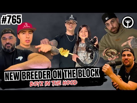 Things Worth Knowing About The Ball Python Game... Elite Secrets! | NBB Boyz In The Hood (Live)