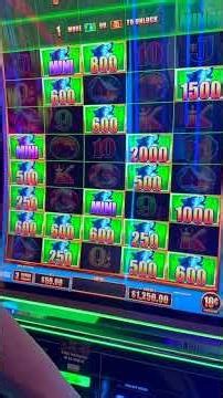 Going to the TOP on Timberwolf Mega Stampede! #slots #casino #vegas