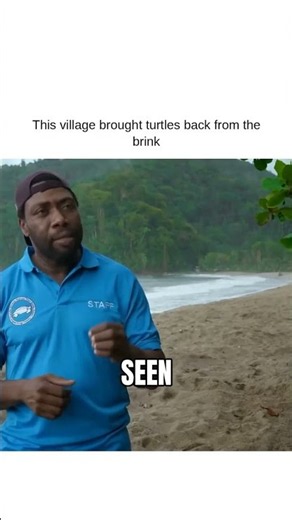 This village brought turtles back from the brink