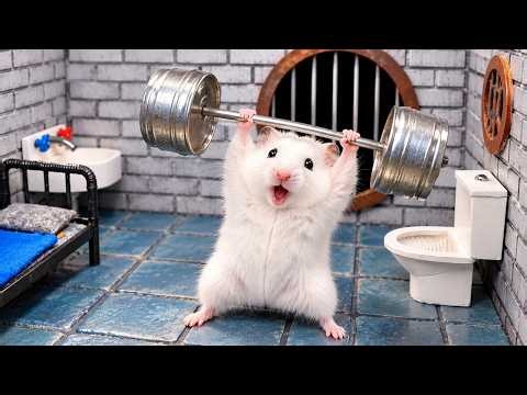 Hamster Overcomes Spiky Obstacles to Escape a Minecraft Prison Maze | Hamster Maze
