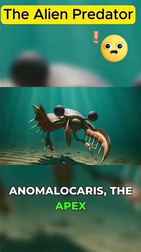 Anomalocaris The Alien Predator of Cambrian Seas