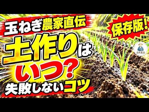 タマネギの土作り完全解説！大きな玉ができる土作りのコツとポイント・植え付け時期と酸度調整（pH6.3）の基本