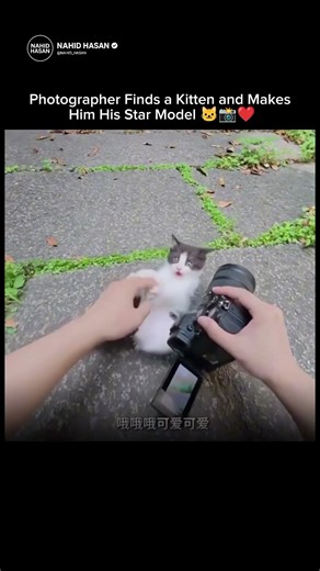 Photographer Finds a Kitten and Makes Him His Star Model 🐱📸❤️