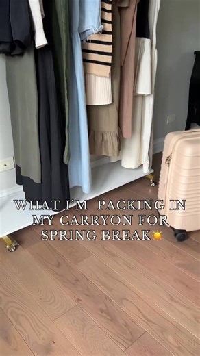 SPRING BREAK 🌸 Type ‘travel’ and I'll get you info to grab all these sprint break travel must haves! Do you have plans yet for spring break? | The Collected Dwelling
