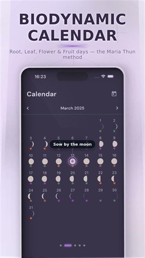 Moon Phase Calendar Offline — Biodynamic, Solunar & Astrophoto Lunar Calendar (Free iOS)