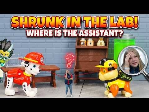Assistant Shrinks to Spy on Sneaky Romeo and Help Paw Patrol