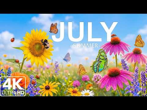 Summertime Splendor 4K | Blooming Wildflowers & Fluttering Butterflies 🌸 A Serene Nature Escape