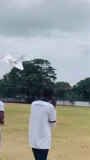 THIS RC Jet Airshow is CRAZY 🤯🎶 #trending #airplane #viral #jet #aviation #jetaircraft #rcplane