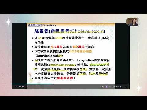 Ch.13 弧菌屬 (Vibrio)：霍亂、腸炎與創傷弧菌 (TCBS 顏色與生化鑑別)