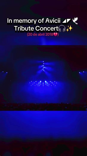 Avicii Tribute Concert: Singing