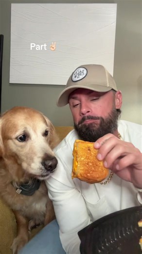 He just had to test it first. 🙄 daily eats with Finn. (Part two.) #goldenretriever #dogsoftiktok #pets #tiktok #fyp