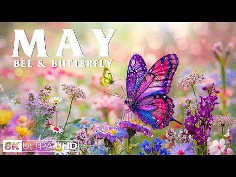 Springtime Splendor 4K | Buzzing Bees & Dancing Butterflies 🌸 A Symphony of Spring