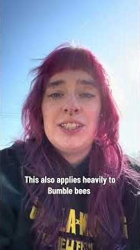 Why you shouldn’t use roundup on your lawn