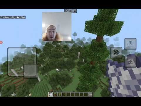 How to build a giant tree in Minecraft Bedrock and Java