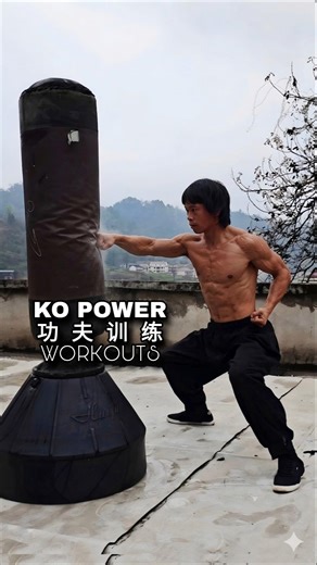 KO Power⚡Kung Fu Bag Smash