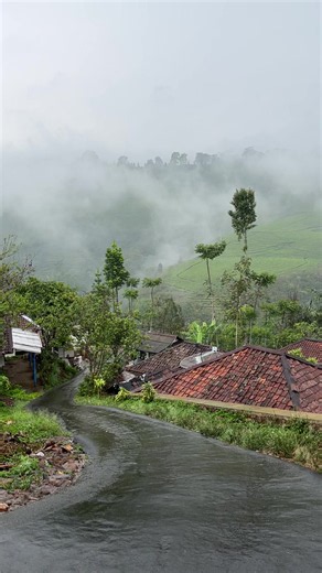 Peaceful Countryside Rain: A Slippery Road & Green Scenery 🌧️