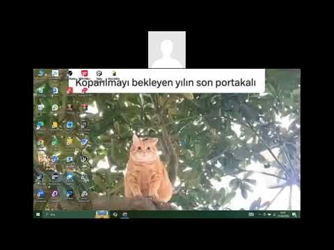 How to Download and Install Java JDK (Step-by-Step Guide 2026)