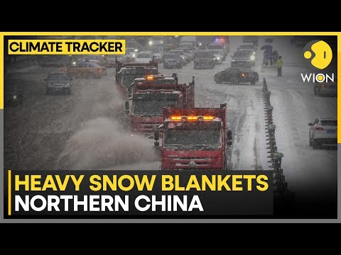 North China Snowfall: Freezing Cold, Windy Weather Likely to Persist | WION CLIMATE TRACKER