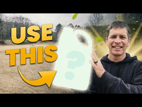 Do NOT Skip This Lawn Care Application