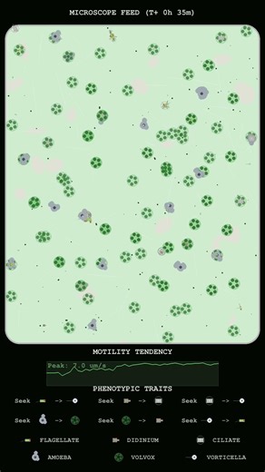 Kinetic Analysis of Didinium Surges and Swarming Dynamics