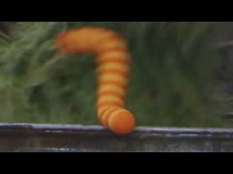 Sesame Street learns about extreme weather