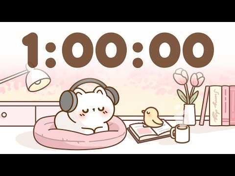 60 Minute Timer 🐱 1 Hour Study Timer for Classroom Focus