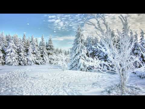 Relaxing sounds of rain and a peaceful snow covered landscape with snow covered spruce trees 4k