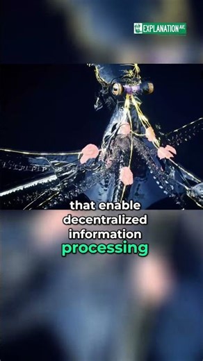 Octopus Intelligence: Mini-Brains and Amazing Abilities #shorts