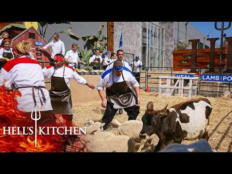 Chef Ramsay Brings Animals to the Kitchen as One Chef Struggles with a Goat | Hell's Kitchen