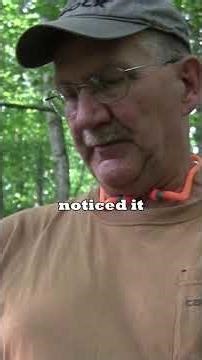 Is This The Best All Around Kinfe?