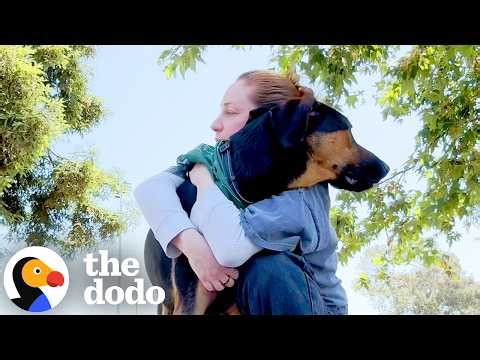 Dog Clings To Woman Standing Outside Shelter When He Gets Dumped | The Dodo