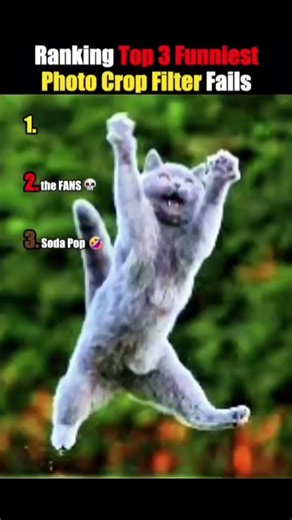 Ranking top 3 funniest photo crop fails 🤣🤣🤣