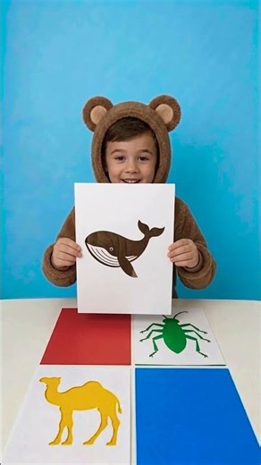 Match the Animal to Its Color! 🐳
