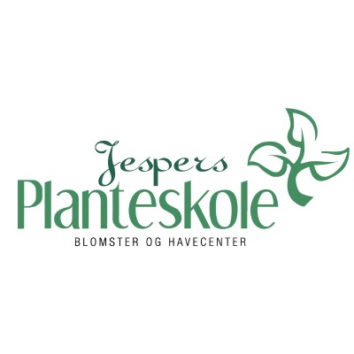 Buketrose (Plant'n'Relax® 'Letters of Love') - Potterose