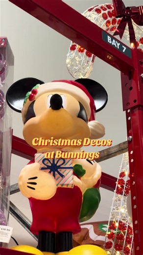 Christmas decos are out at Bunnings now @Bunnings #bunnings #bunningswarehouse #christmas #christmastiktok #christmasdecor