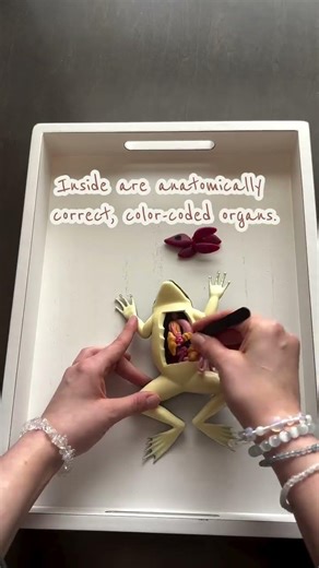 The best way to save frogs 💚
