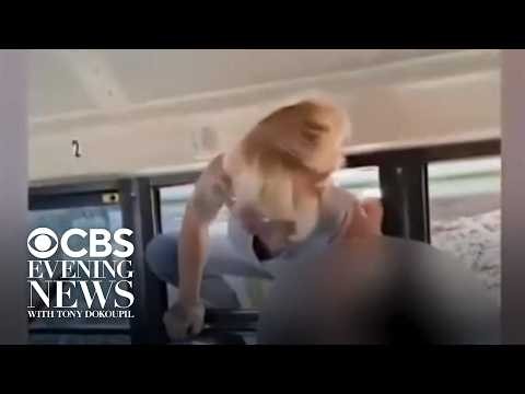 Mom arrested for vandalism after breaking bus window to pull out child