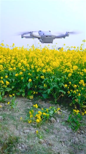 DJI Mini 3 Pro Drone Camera || Best 4k Drone #dji #djiminidrone #djidrone #djımini3pro #drone