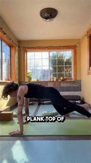 Vinyasa Transition | Fold, Plank & Gentle Backbend