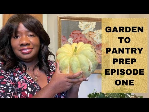 Fall Winter 2026 Pantry Prep Using 3 Crops I Harvested In My Backyard Garden Grocery Store #stockup