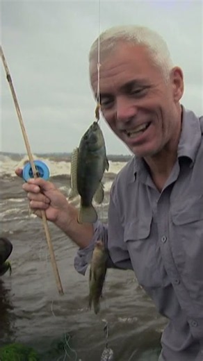 Catching fish on a bamboo rod! 🎣