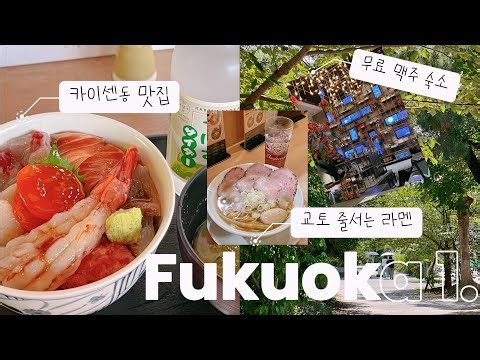 나홀로 후쿠오카 여행 1 | 태풍이 또 온다는데…🌪️ 날씨는?