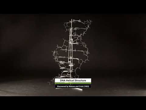 Healthcare Pioneers and Their Breakthroughs for a Healthier Future