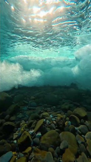 The Shimmering Abyss: Sinking Into the Surreal, Freezing Depths of Alaskan Waters | Life in a Blink